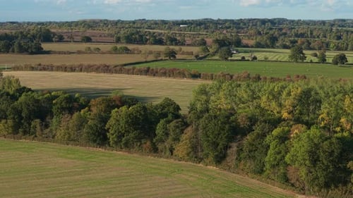 Farmland Stretching with Crops and Rural Cultivation Fields Spreading with Harvest and Agricultural