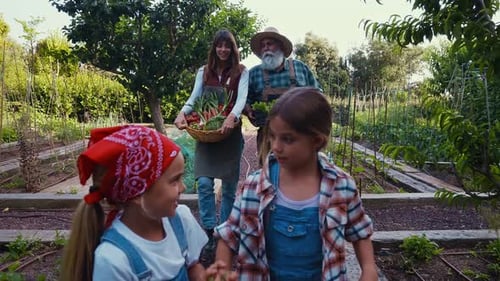 Family Walking Through Garden With Vegetables