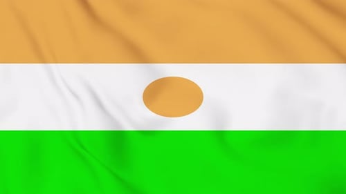 Niger Flag Waving Seamless Loop Animation