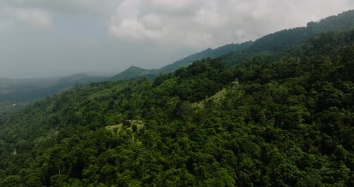 Hillside Forest with Scattered Trees and Cloudy Sky Ko Samui Thailand