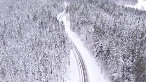 Aerial drone view of pine trees covered with snow in spruce forest in cold mountains. winter landsca