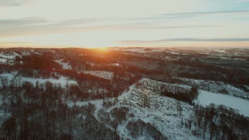 Snowy Forest during Sunset