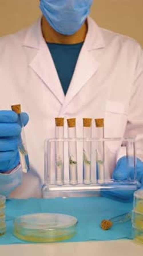 Lab Worker Examining Plant Samples in Test Tubes