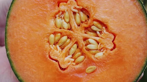 Melon orange frais, juteux et sucré avec graines. Saison de récolte.