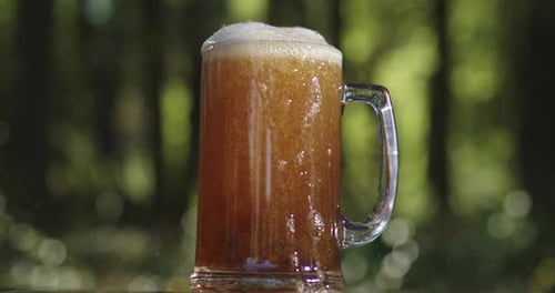 Golden Craft Beer Poured on Green Outdoors Lager Beer with Foam in Glass Mug Beer Splash on Nature