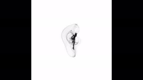 Rotating Pancreas Minimalistic Wireframe Endless Loop 4K 60FPSg5