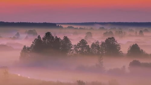 Morning Sun Shines On Plain