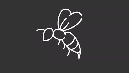 Animated wasp white icon