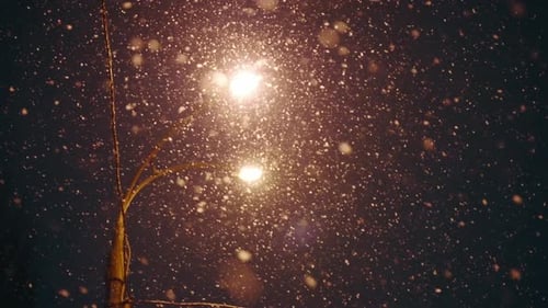 Falling Snow in Winter in the Light of Street Lampsbeautiful Winter Atmosphere