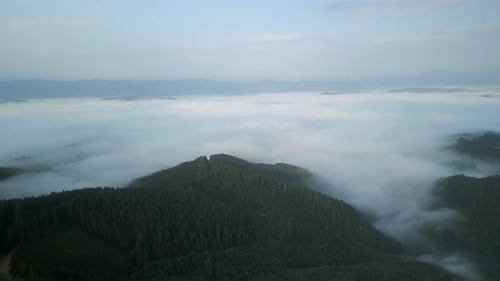 Flying Over Green Forest at Cloudy Day with the Mountains on Horizon with Glowing Clouds Carpathian