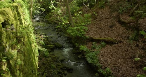Wide shot of Bentley brook at the end of the Lumsdale waterfalls, Matlock
