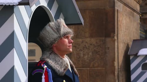 Presidential Guard Standing Still in Prague Castle
