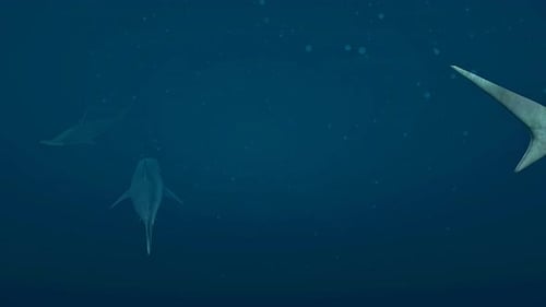 3D Hammerhead Shark Swimming in Deep Ocean Animation