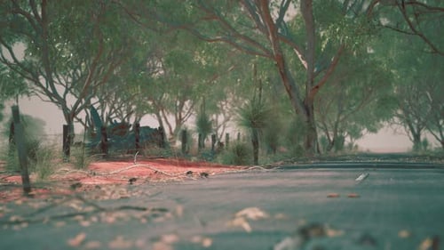 Open Road in Australia with Bush Trees
