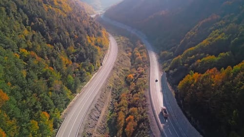 Estrada da Floresta de Outono - 2K