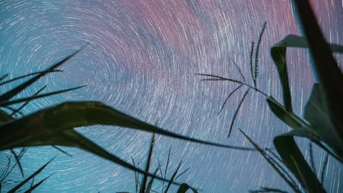 Star Trails Time-lapse Above Rural Field at Night
