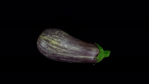 Rotating Eggplant Close Up on Black Background