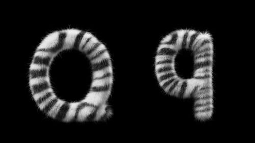 Animação 3D de uma letra de lã Zebra maiúscula e minúscula Q