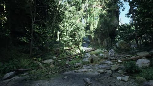 Scenic Dirt Road Surrounded By Trees and Rocks
