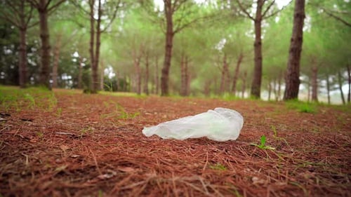 Bolsa de plástico desechada en el bosque, la contaminación y la basura en la naturaleza