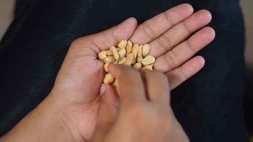 Hand Puts Several Shelled Peanuts in Palm