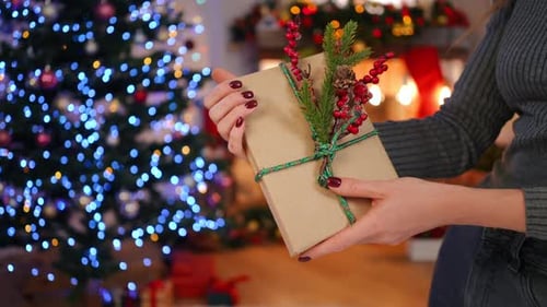 Closeup Packed New Year Gift in Hands of Unrecognizable Lady Standing in Living Room Indoors