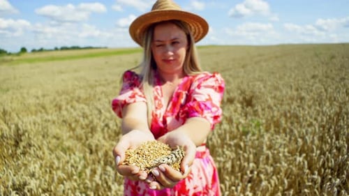 Wheat Kernels Held by Woman in Grain Field