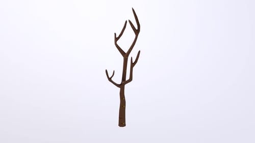 Tree 3d object rotating loop