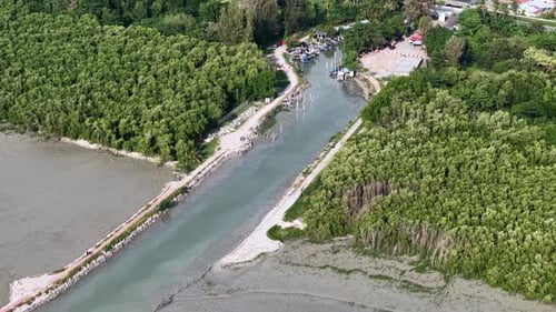 Aerial mangrove forest with coastal channel and docks