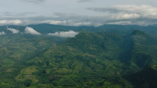 Tropical Forest in Mountain Province in the Philippines
