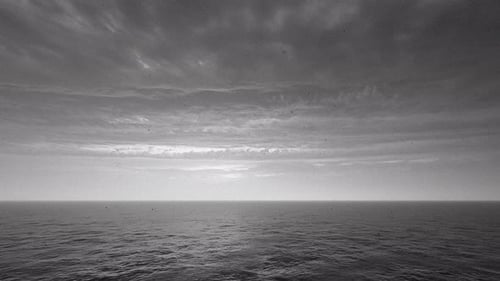 Black And White Calm Sea