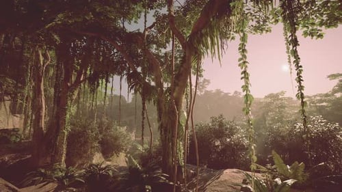 Dense Green Forest With Abundant Trees