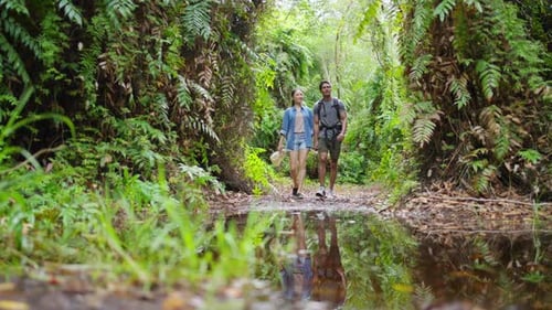 4K Young Asian couple hiking together in tropical forest.