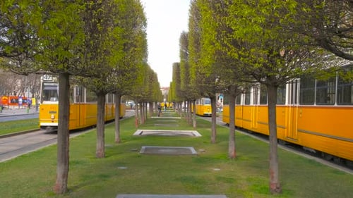 Tram in City in Sunny Spring Weather
