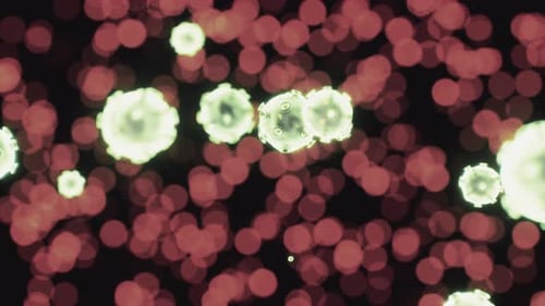 Vírus sob a visão microscópica da educação