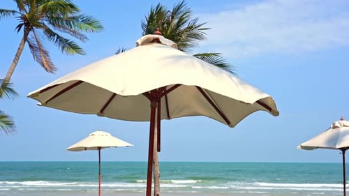 Parasols and Exotic Trees on Empty Tropical Beach With Sea Skyline on Sunny Day, Full Frame