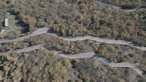vue zénitale depuis une route forestière