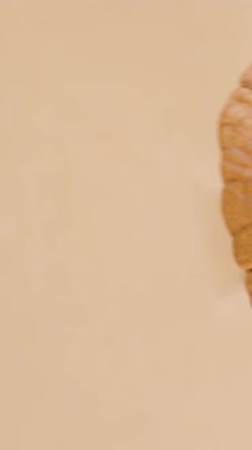 Vertical video. Pecan nut rotates and gracefully moves from one edge to another in a close-up shot.
