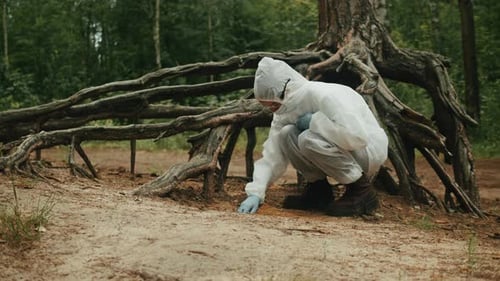 Taking Probe of Soil in Forest Geologist Man Worker Taking Measurements of Soil Probe By Scientific