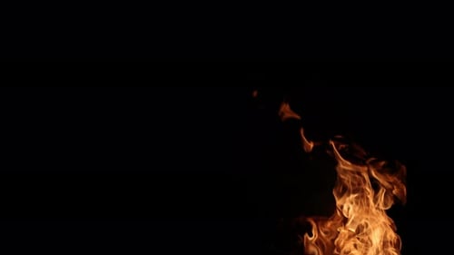 De vraies flammes brûlantes sur fond noir
