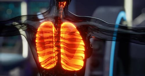Detailed View of Human Lungs Illuminated in a Scientific Display Setting