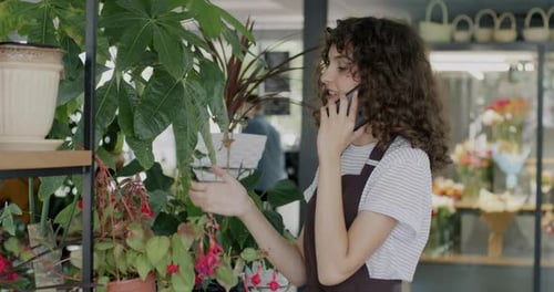 Floristry Business Owner Young Woman in Apron Talking to Client on Mobile Phone and Looking at Green