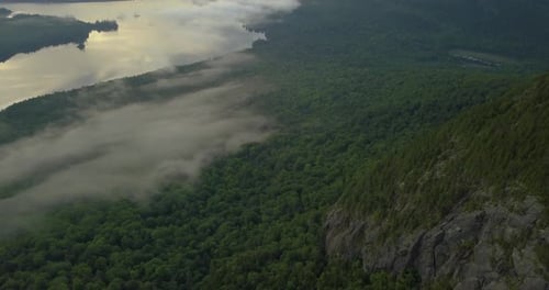 Aerial view of a very dense and misty forest surrounded by a river and mountains
