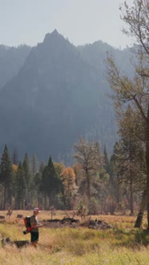 Delving Into the Breathtaking and Majestic Landscapes of Yosemite National Park in Depth