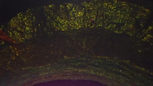 Cellular Structure Under Microscope Glowing in Dark