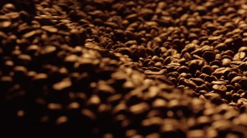 Rich Roasted Coffee Beans Close-Up
