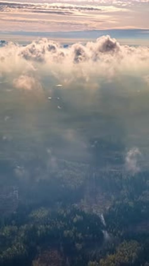 Au-dessus de la forêt et des nuages avec la lumière du soleil traversant l'air brumeux du matin, à la verticale