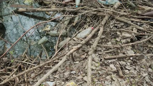 Plastic Waste in the Forest Pollution of the Environment