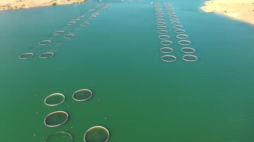 Aerial View Of Fish Ponds In The Dam Lake 2