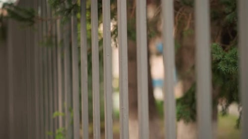 Blurred Fence Bars and Green Tree